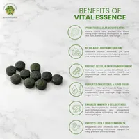 Vital Essence – Image 2