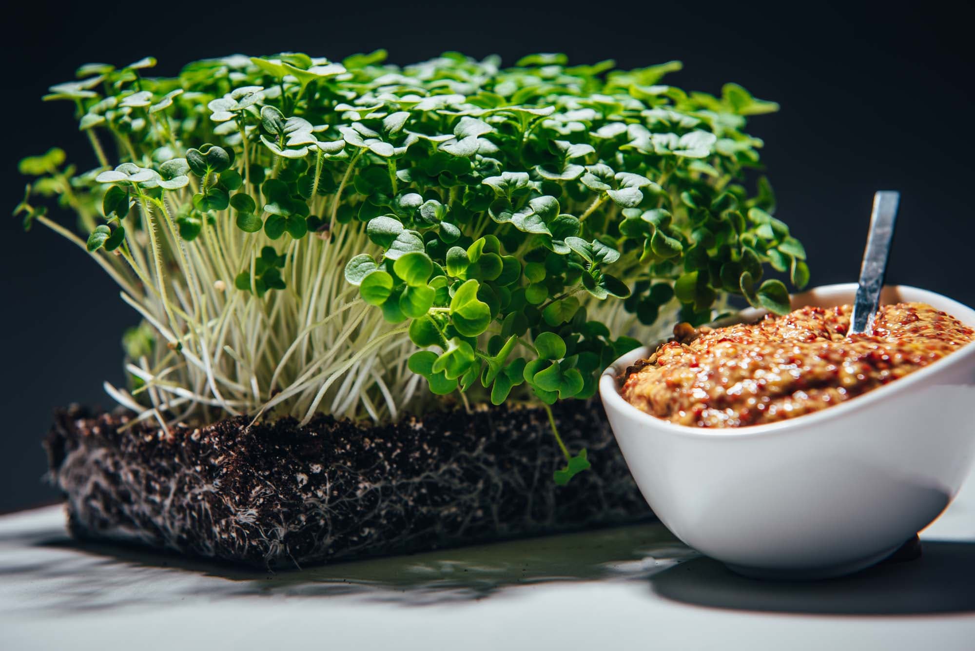 Brown Mustard – Image 1