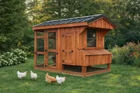 Nest Series 4x8 Chicken Coop with Run – Image 1