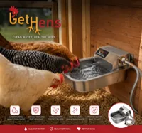 Automatic Chicken Watering System – Image 1