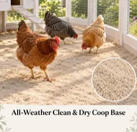 All-Weather Clean & Dry Coop Base – Image 1
