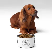 Pet bowl: Yummy Stuff – Image 2