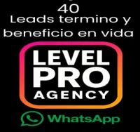 Leads de termino y beneficios en vida l Whatsapp (40) – Image 1