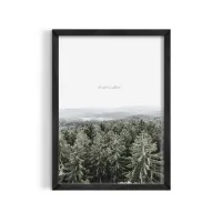 Cuadro Fotográfico Bosque de Pinos Bruma Nórdica – 30x40cm, Café medio