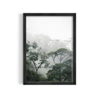 Cuadro Fotográfico Selva Tropical y Neblina – Estilo Bosque Nublado – 30x40cm, Café medio