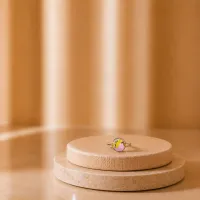 Cheeky Bloomera Ring – Image 1
