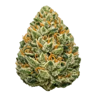 Lemon OG – Image 1