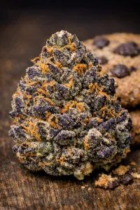 Girls Scout Cookies – Image 1