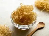 Irish Sea Moss – Image 2