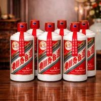 53%飞天贵州茅台酒500ml