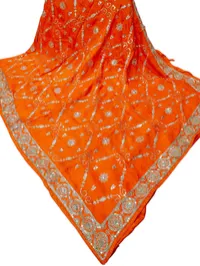 HO Silk Jaal Handwork – ORANGE