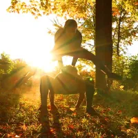 Personal Training Program - One-on-One a Year to Transform your Life! Private Monthly Zoom Meeting – Image 1