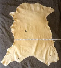 Smoke and Brain Tan Buckskin #2 – Image 2
