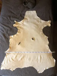 Smoke & Brain Tan Buckskin #1 – Image 2