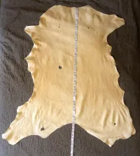 Smoke and Brain Tan Buckskin #2 – Image 1