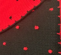 Ladybug + Ladybird Wool Baby Blanket – Image 4