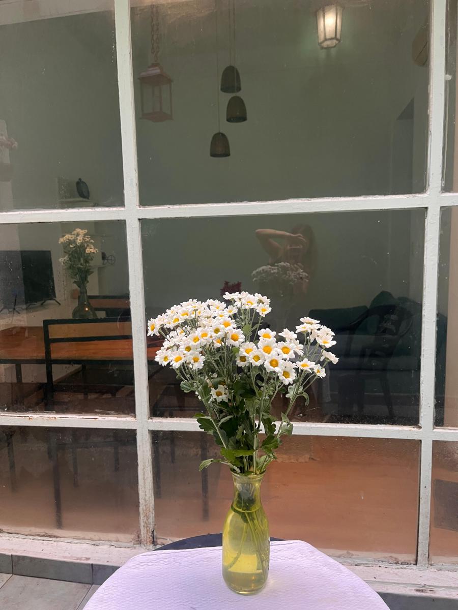 PALERMO | 2 BD 1 BTH | 3 AMBIENTES | 1100 USD – Image 5