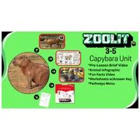 ZooLit - Capybara (3-5) Unit  – Image 1