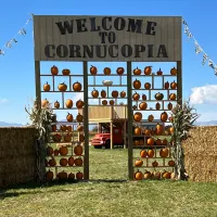 Cornucopia Field Trip Ticket – Image 1
