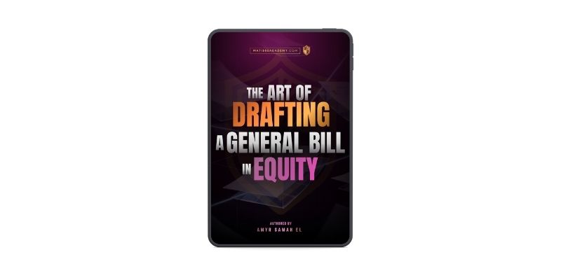 DP: eBook Bundle #1 - Navigating Traffic Court, Equity Bills, and American Perspectives – Image 4
