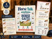 Horse Gaits Learning Fan & Knowledge Cards – Horse Gaits Learning Fan & Knowledge Cards