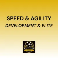Speed & Agility Online Coaching Programme – Development