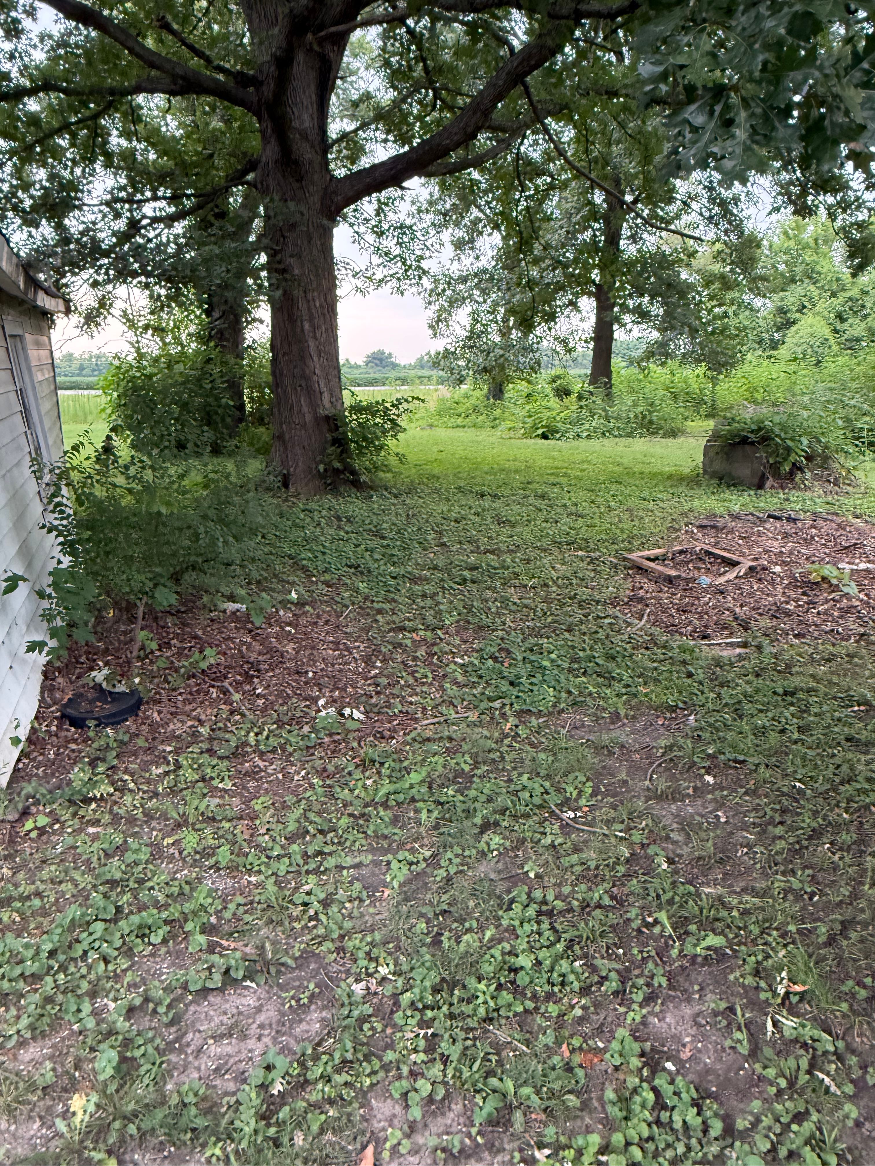 1009 Ernest St Cahokia IL 62,206 – Image 5