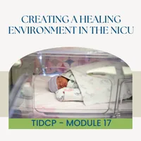 T.I.D.C.P.©: Module 17 - Creating a Healing Environment in the NICU – Image 1