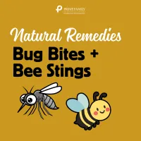 Bug Bites + Bee Stings ~ Natural Remedies Guide – Image 1