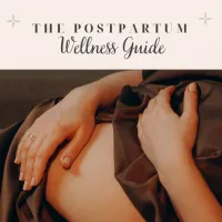 Postpartum Wellness Guide – Image 1