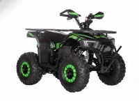 Gas 4 Wheeler - Utility – Image 1
