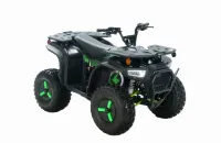 Electric 4 Wheeler - Utility – Image 1