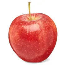 Fresh Gala Apple – Image 1