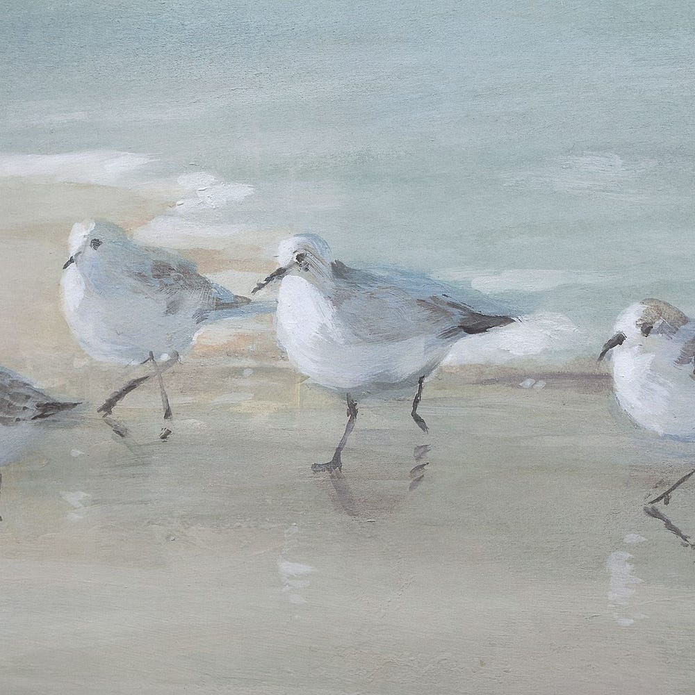 Tranquil Shorebirds on the Sand Framed Print – Image 4