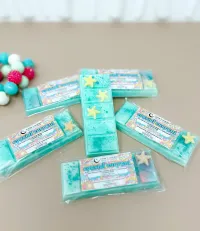 Coastal Current Snap Bar Wax Melts – Image 1