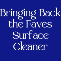Bringing Back the Faves Luxe Multi-Surface Cleaner – Image 1