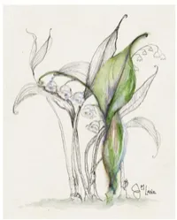 Chapter 1:  The Wonder Collection – Image 4