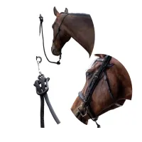 Your Horsemanship Daily Foundation Pack – Image 1