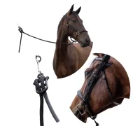 Your Horsemanship Premium Foundation Pack – Image 1
