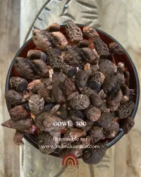 Gowé – Image 1