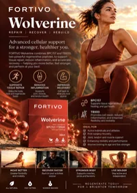 Wolverine – Image 2