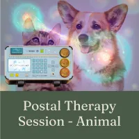 Remote Therapy for Animals – Image 1