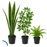 Artificial Plant Set – Image 1