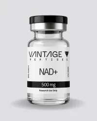 NAD+ – Image 1
