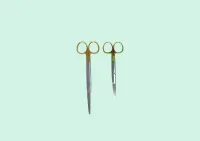Mayo Tungsten Carbite T/C Scissors – Image 1