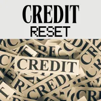 Credit Reset Workbook – Image 1