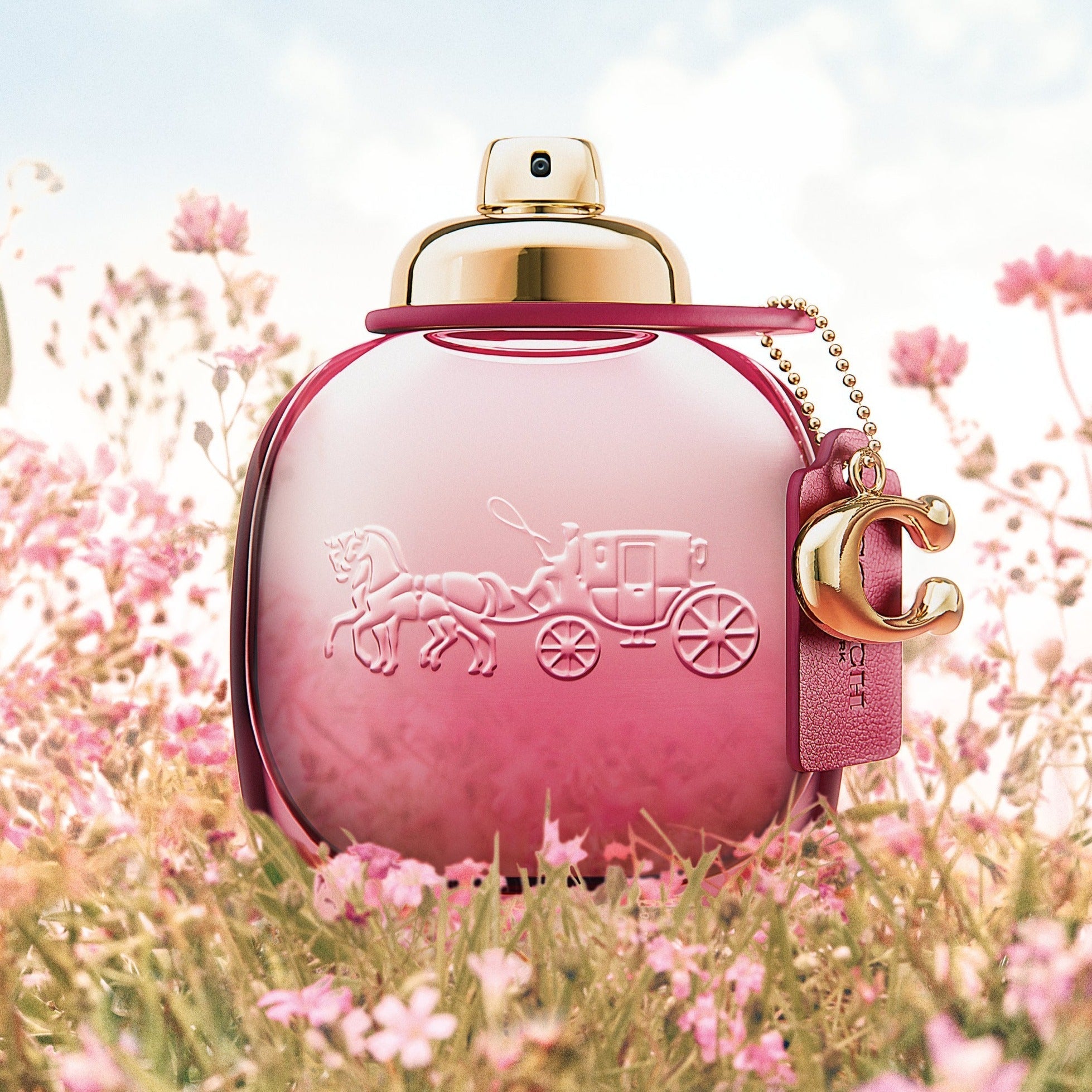 Coach Wild Rose EDP For Women 90ML – Image 3