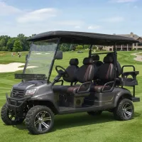 Golf Cart Verdi Malibu S6 – Grey