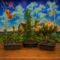 Grace Note Brewing - June 7th – Image 9