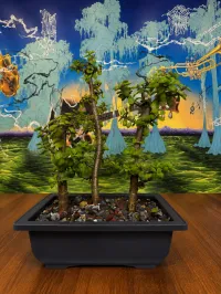 Grace Note Brewing - June 7th – Image 10